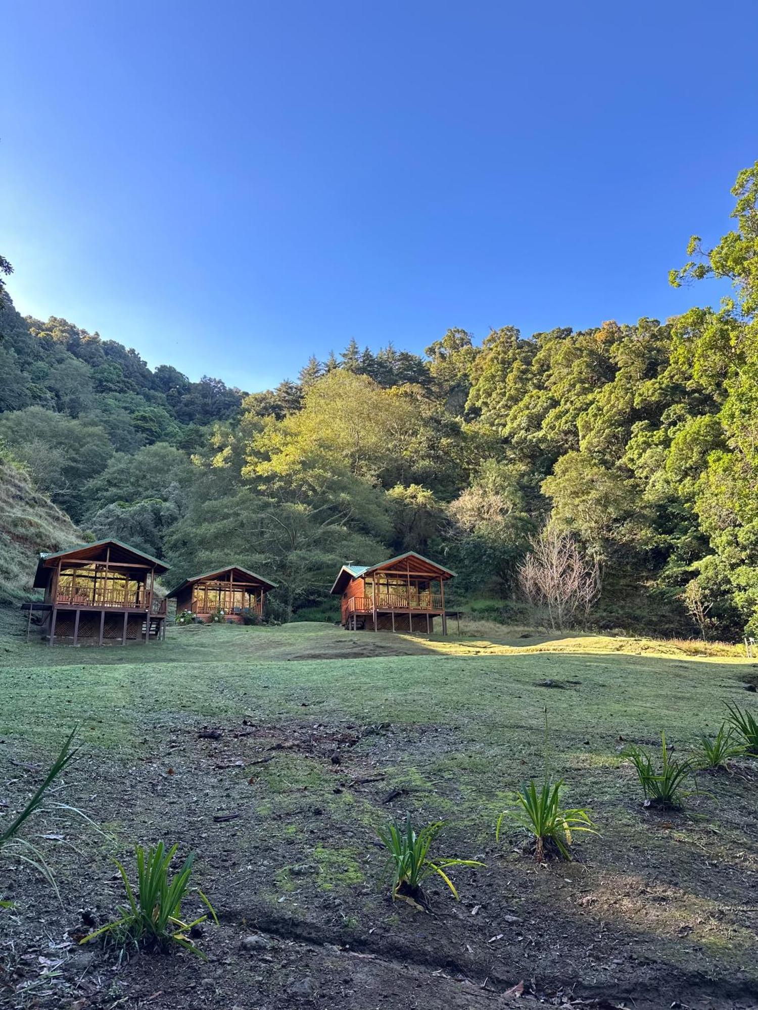 Entre Arboles Lodge Сан-Херардо-де-Дота Экстерьер фото